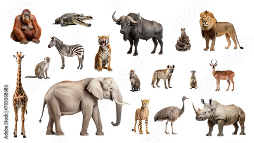 Collage collection of wild animals isolated on transparent white background © Photocreo Bednarek