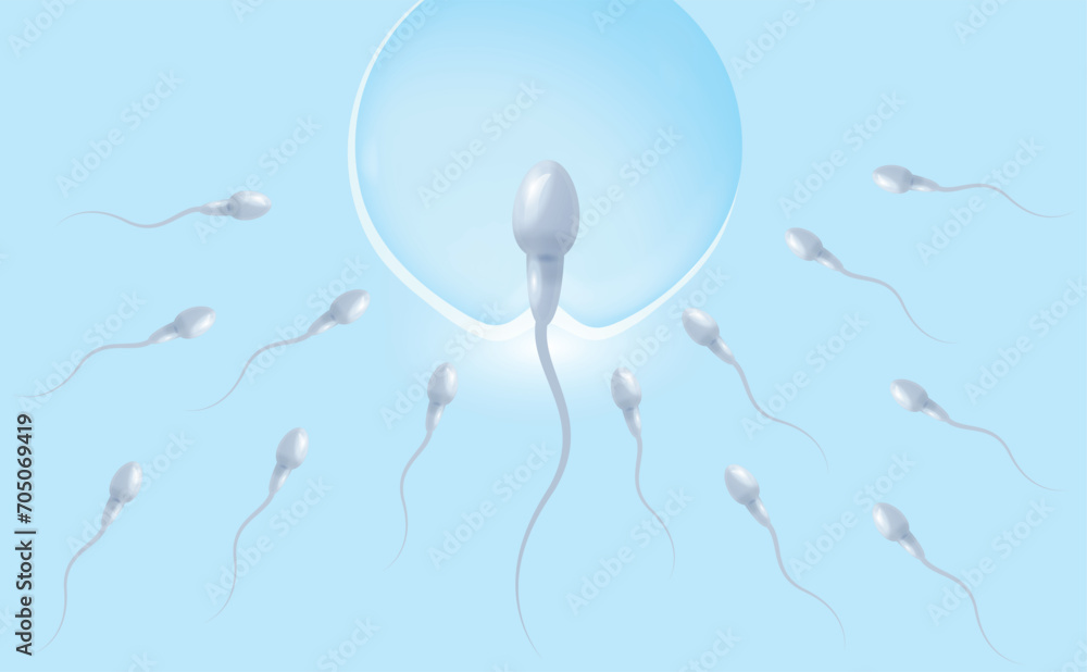 Penetration of spermatozoa into the female egg. The concept of in vitro fertilization. Medical information poster.