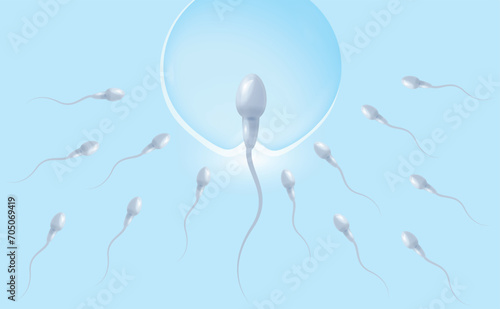 Penetration of spermatozoa into the female egg. The concept of in vitro fertilization. Medical information poster.