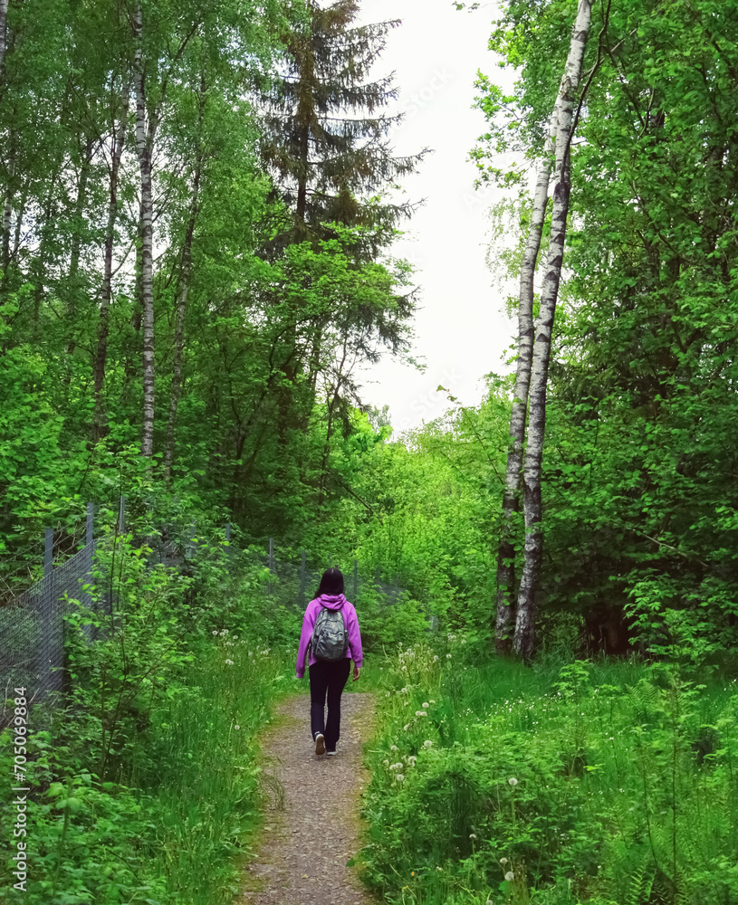 Hike trail hiker woman walking in spring nature woods during spring season. Hiking active people tourists wearing backpacks outdoors trekking in pine forest.
