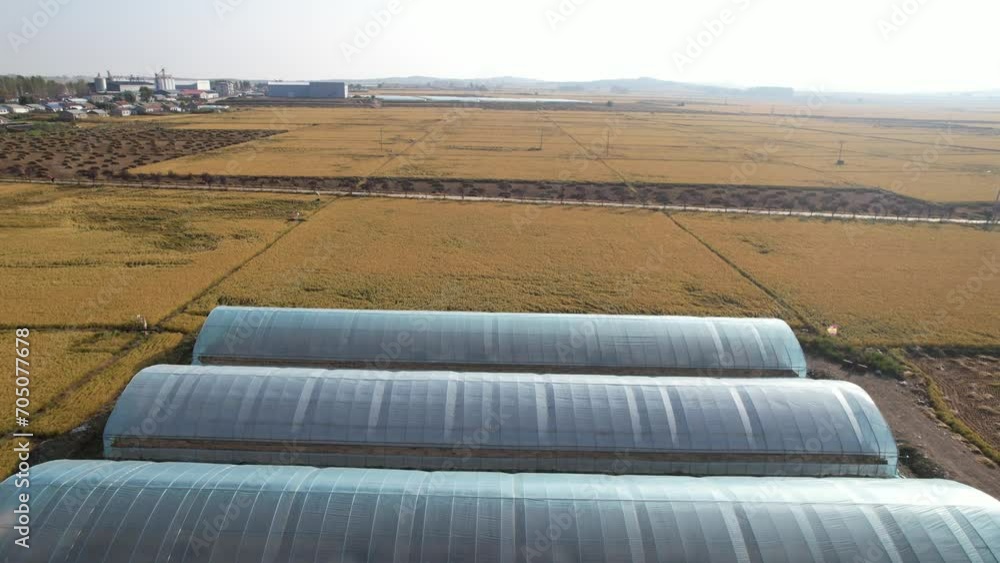plastic greenhouse in field plastic greenhouse in field