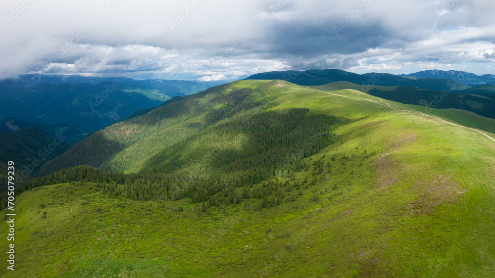 Aerial view of Ursu peak with its mountain sides populated by mountain pine bushes, that grow at the edge of the forest. Stormy clouds cover the horizon, shade is cast on the pastures. Carpathia, Roma