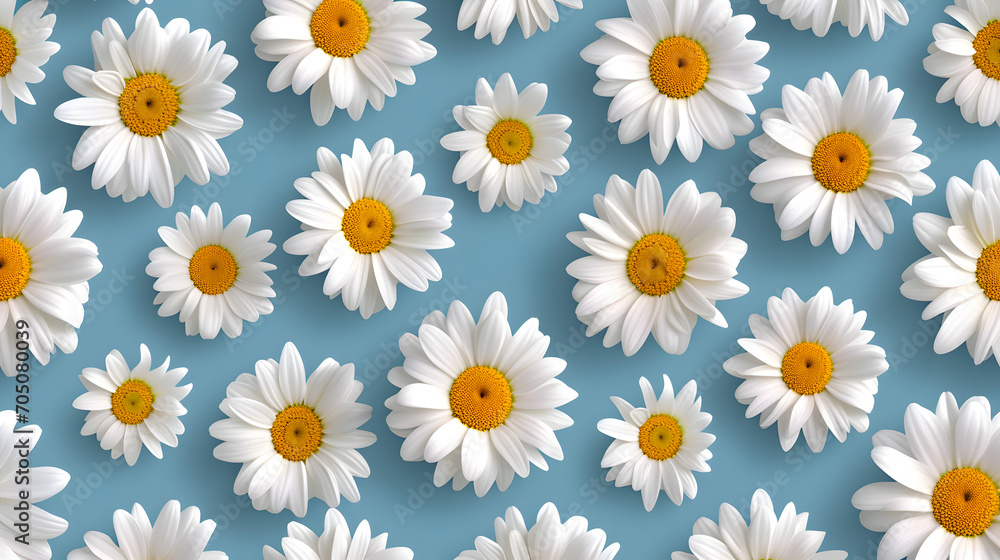 Seamless Pattern of White Daisies on a Blue Background