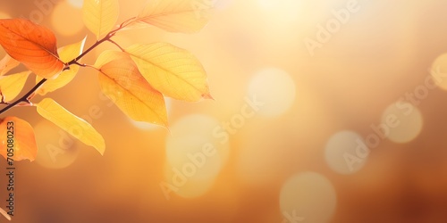 autumn colored leaf branch on abstract blurred yellow nature background with defocused sun lights  fall season concept banner with copy space