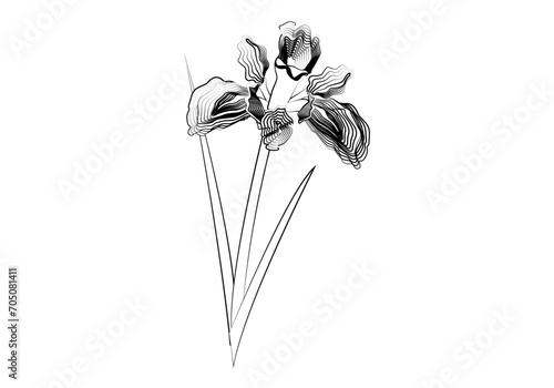 Icono de trazado negro dibujando una flor primaveral.