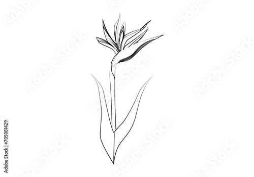 Icono de trazado negro dibujando una flor primaveral.