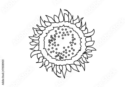 Icono de trazado negro dibujando una flor primaveral.