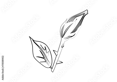 Icono de trazado negro dibujando una flor primaveral.