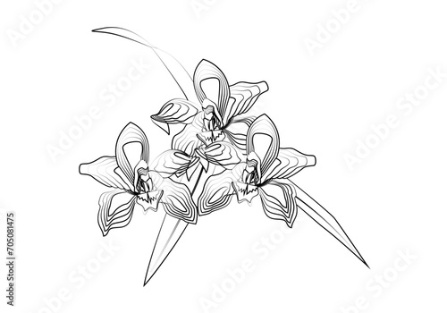 Icono de trazado negro dibujando una flor primaveral.