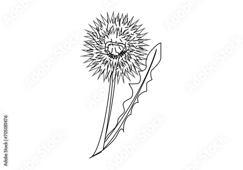 Icono de trazado negro dibujando una flor primaveral. photo