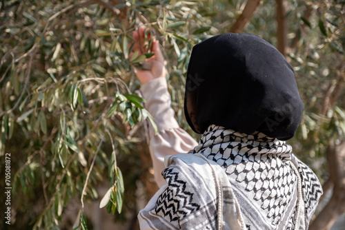 Female holding branch of olive tree while wearing palestinian keffiyeh in the field photo