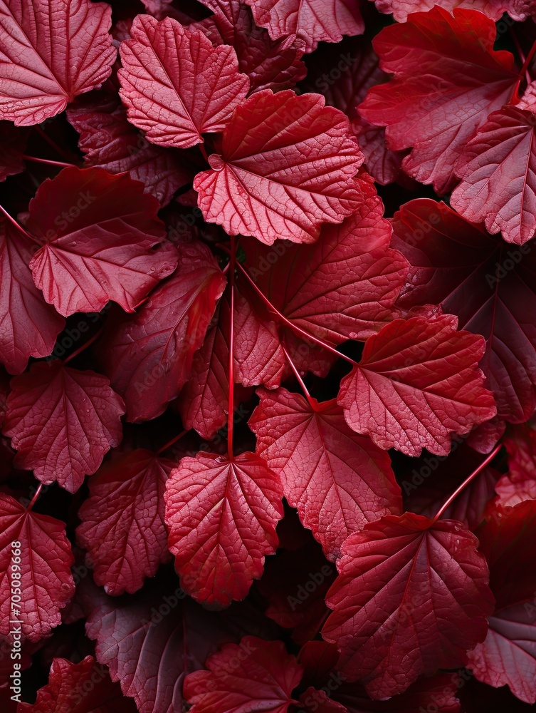 Background of red leaves, natural background and wallpaper, Background group of autumn leaves, Generative AI Background of red leaves, natural background and wallpaper, Background group of autumn leaves, Generative AI
