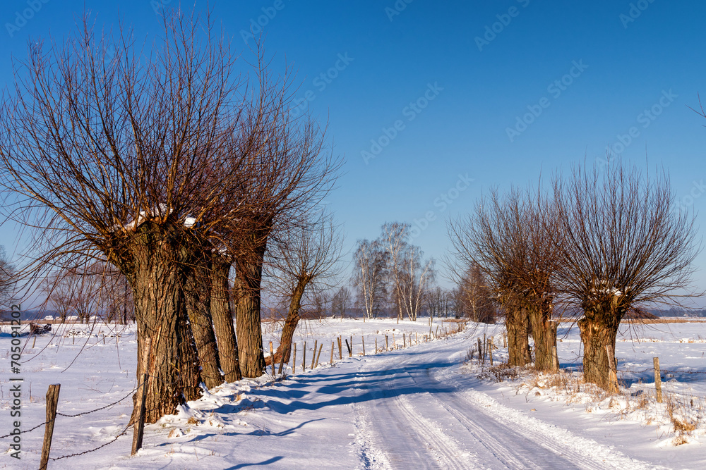 Zimowe wędrówki Doliną Narwi, Podlasie, Polska