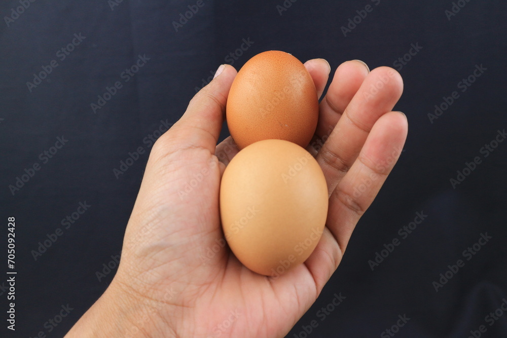 female teen hand holding brown chicken egg isolated on black background female teen hand holding brown chicken egg isolated on black background