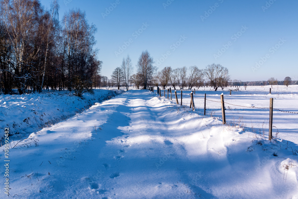 Zimowe wędrówki Doliną Narwi, Podlasie, Polska