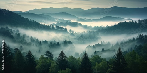 Misty forest with layered hills and morning light © ParinApril