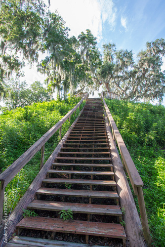 Crystal River Archaeological State Park  Temple Mound.