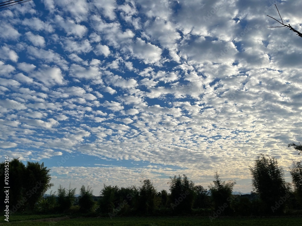 Obraz premium clouds over the forest