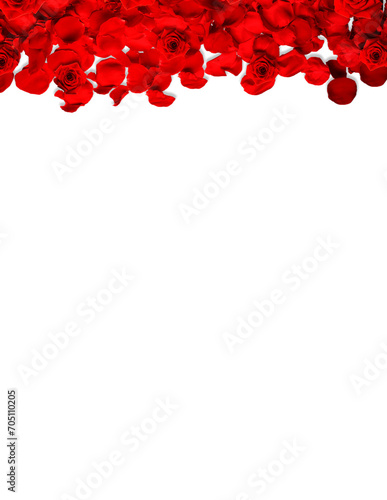 Red Petals & Roses Valentine's Day Romantic Border Frame Transparent Background
