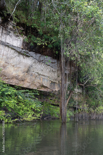 Rock formation along the Trombetas river  Para state  Brazil