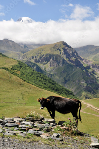 Górski krajobraz, Kaukaz, Gruzja