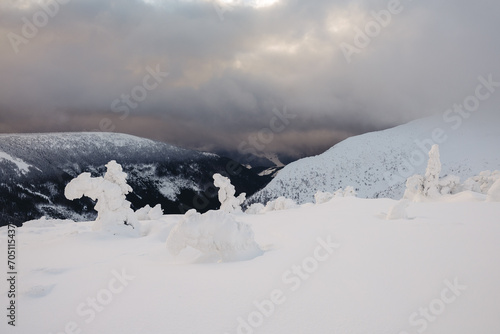 A beautiful winter in the Karkonosze Mountains, heavy snowfall created an amazing climate in the mountains. Poland, Lower Silesia Voivodeship.