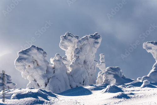 A beautiful winter in the Karkonosze Mountains, heavy snowfall created an amazing climate in the mountains. Poland, Lower Silesia Voivodeship. © PawelUchorczak