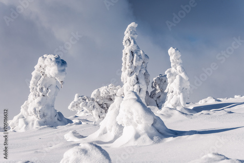 Fototapeta Naklejka Na Ścianę i Meble -  A beautiful winter in the Karkonosze Mountains, heavy snowfall created an amazing climate in the mountains. Poland, Lower Silesia Voivodeship.