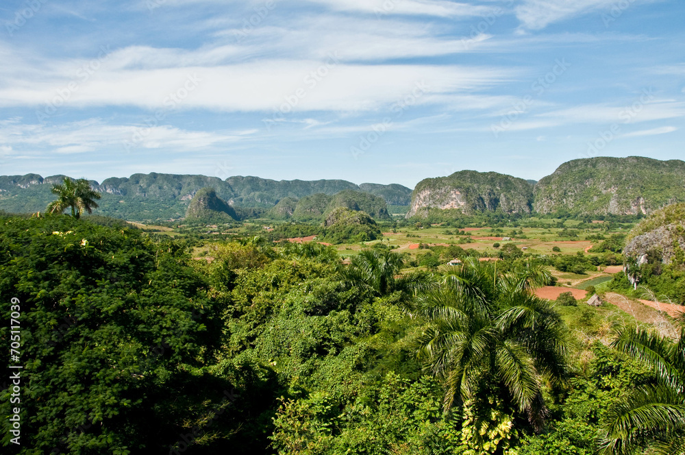 Plantacja tytoniu, Kuba, widok, tropikalna roślinność, wzgórza