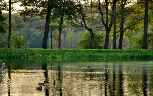Jesień w Polsce. Las, park, jezioro. Drzewa pokryte kolorowymi liśćmi.
