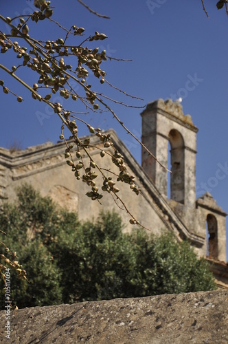Serbia i Czarnogóra, stary kościół i drzewko oliwne