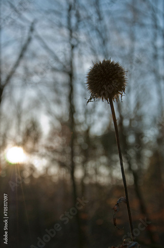 Jesień w Polsce. Las, park, jezioro. Drzewa pokryte kolorowymi liśćmi.
