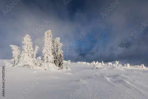 A beautiful winter in the Karkonosze Mountains, heavy snowfall created an amazing climate in the mountains. Poland, Lower Silesia Voivodeship.