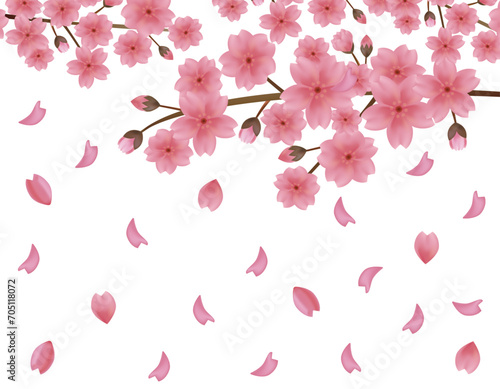 Wallpaper Mural ピンクの桜のイラスト　桜の花びらのイラスト Torontodigital.ca