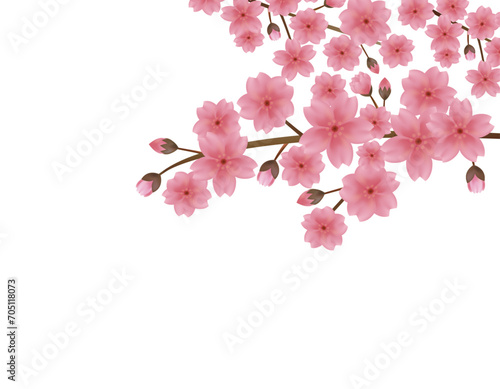 ピンクの桜のイラスト　桜の花びらのイラスト ©  NiSihSion
