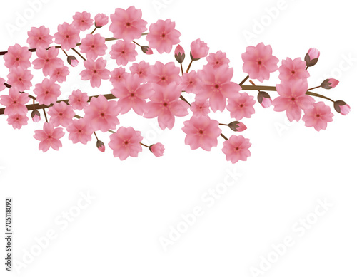 Wallpaper Mural ピンクの桜のイラスト　桜の花びらのイラスト Torontodigital.ca