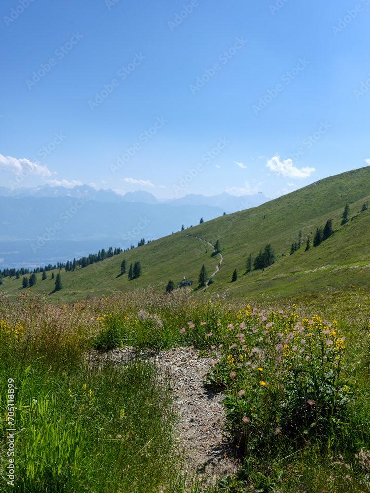 Fototapeta premium Bergwanderweg in Kärnten mit Alpenblick im Sommer