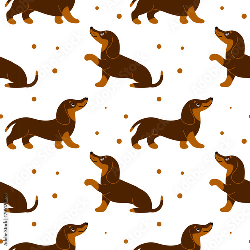 Seamless pattern, cute dachshund dogs on a white background. Children's print, textile, vector