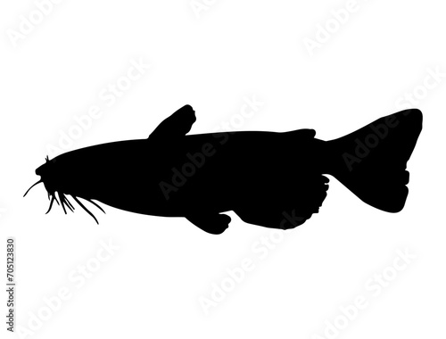 Cat Fish silhouette vector art white background