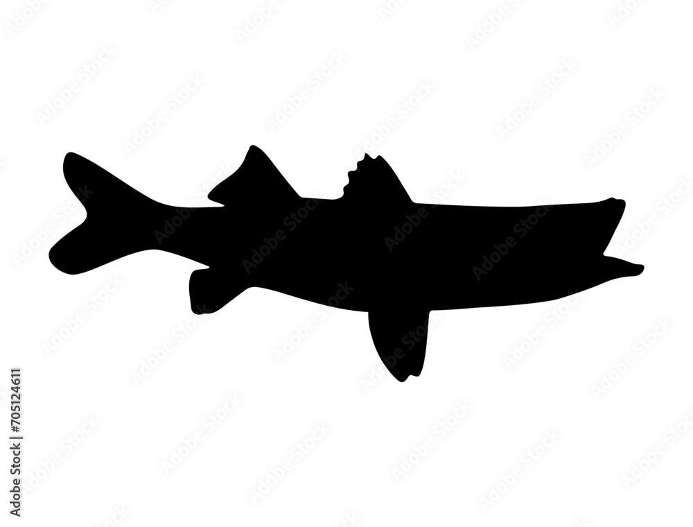 Snook Fish silhouette vector art white background Snook Fish silhouette vector art white background
