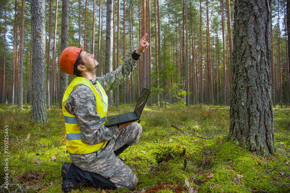 Forest engineer works in the forest with a computer. Trees appear on the computer screen. Forest engineer works in the forest with a computer. Trees appear on the computer screen.