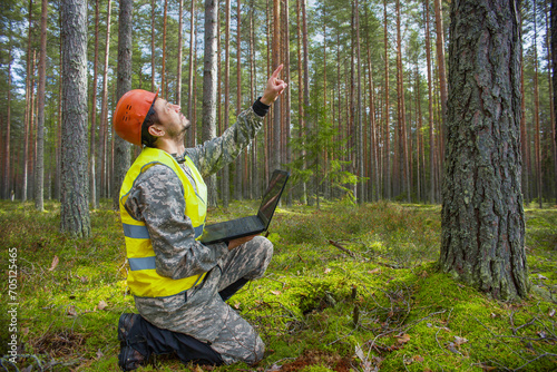 Forest engineer works in the forest with a computer. Trees appear on the computer screen.