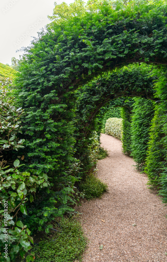 Green plant arches