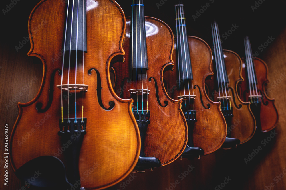 Row of violins arranged neatly on a stand in a room. Row of violins arranged neatly on a stand in a room.