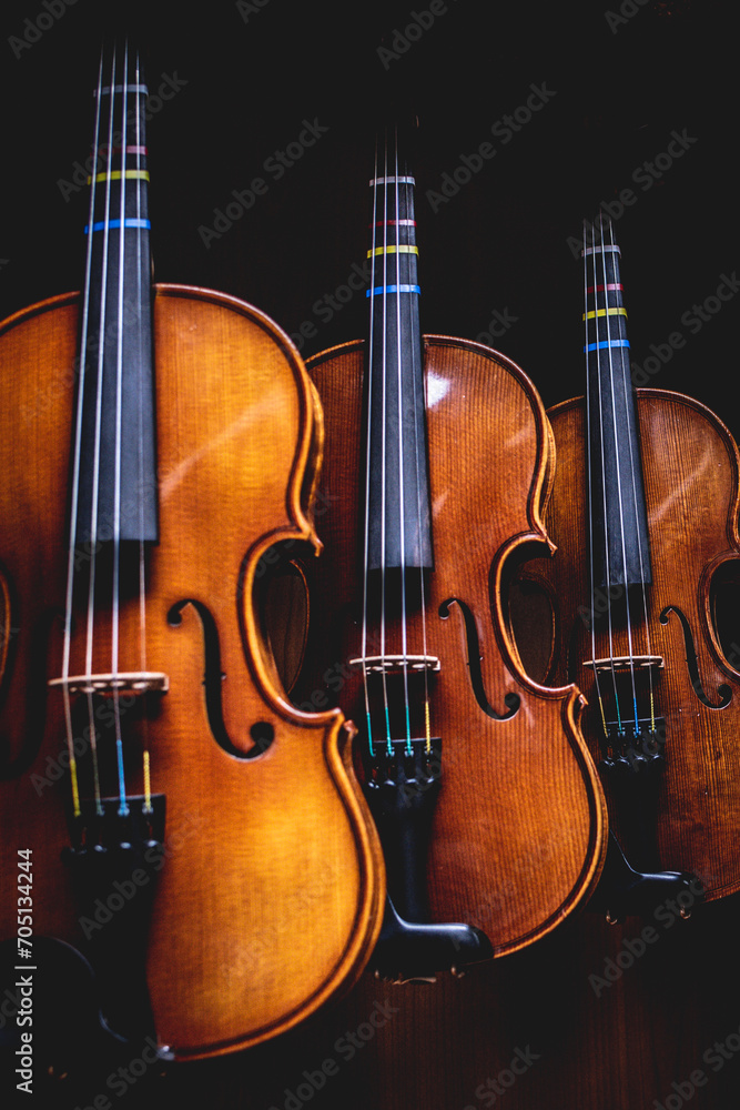 Row of violins arranged neatly on a stand in a room. Row of violins arranged neatly on a stand in a room.