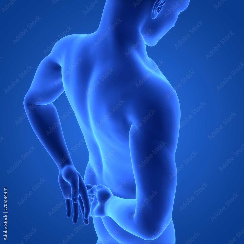Human Suffering with Back Pain Anatomy Human Suffering with Back Pain Anatomy