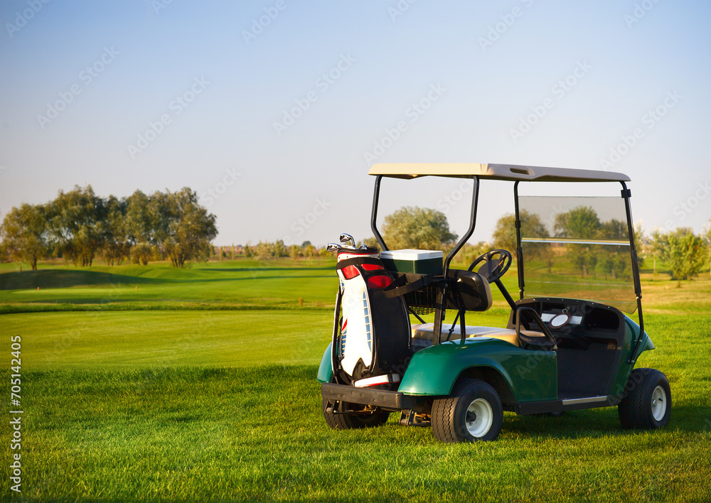 Golf car on the golf course