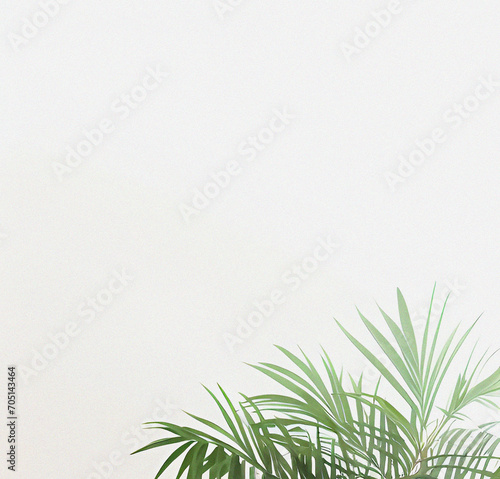 Green plant on the white background. Minimal design with space for text. Natural Template for presentation or product. Nature wallpaper. Minimalist concept. Beautiful Nature Flyer. © SuFiSa
