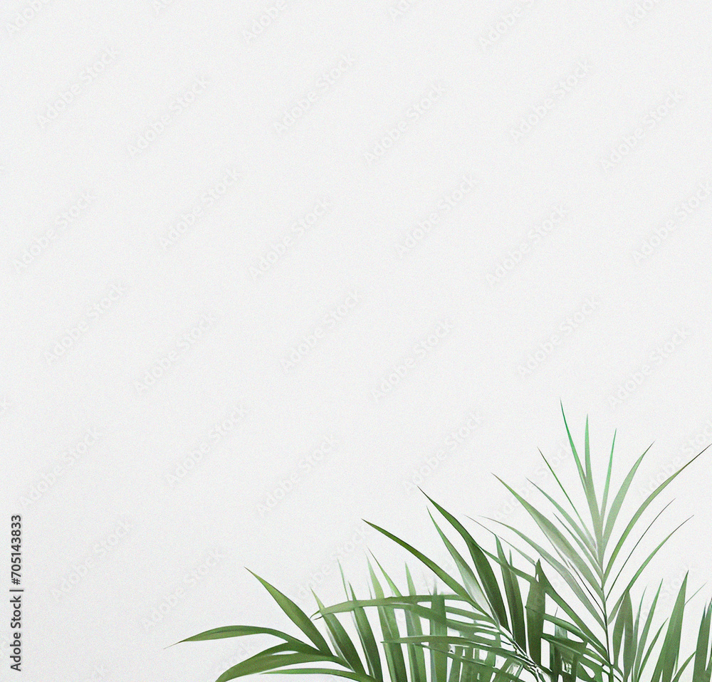 Fototapeta premium Green plant on the white background. Minimal design with copy space. Natural Template for presentation or product. Nature wallpaper. Minimalist concept. Beautiful Nature Flyer.