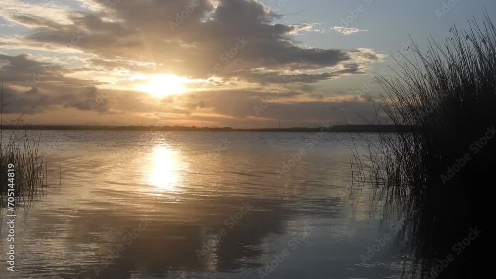 Golden sunset with lake and grasses blowing in the wind Golden sunset with lake and grasses blowing in the wind
